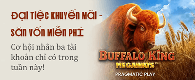 Elite Online Casino